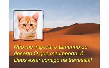 Moldura - Travessia De Deserto