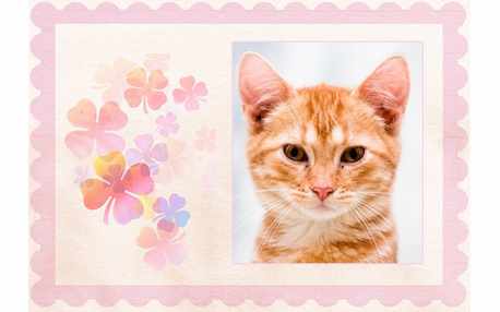 Moldura - Floral Com Detalhes Rosa