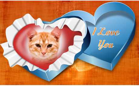 Moldura - I Love You Chocolate Box