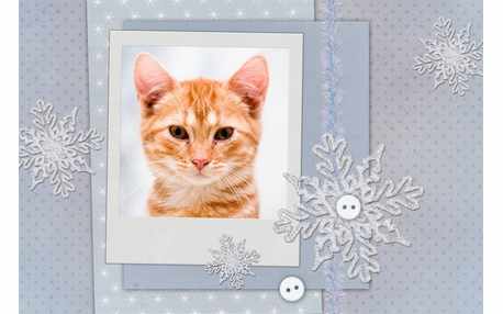 Moldura - Flocos De Neve