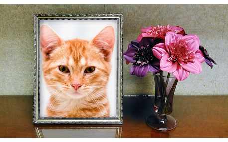 Moldura - Vaso De Lindas Flores