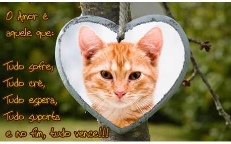 Moldura - Verdadeiro Amor Ao Proximo