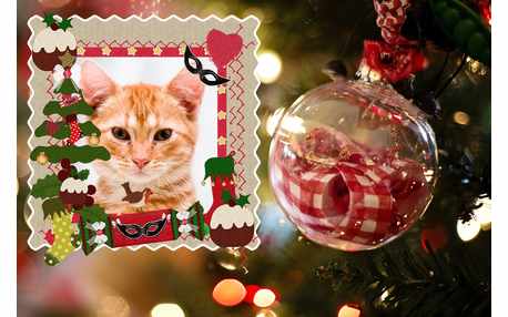 Moldura - Moldura Comemorativa De Natal