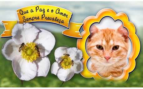 Moldura - A Paz E O Amor Prevalece