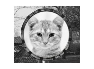 Moldura - Street Mirror