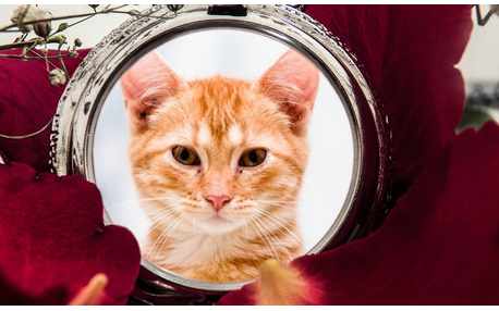 Moldura - Linda Montagem Para Fotos