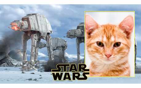 Moldura - Star Wars Episode 7 A The Force Awakens