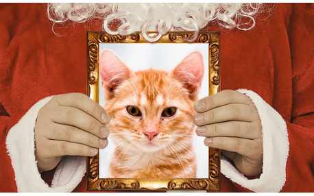 Moldura - Papai Noel Segurando Sua Foto