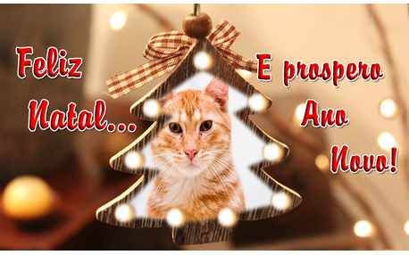 Moldura - Foto Na Arvore De Natal E Prospero Ano Novo