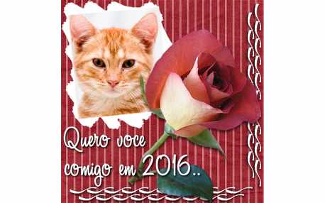 Moldura - Contrato De Amizade 2016