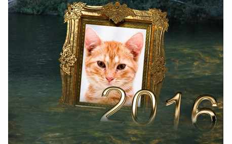 Moldura - 2016 Paz E Amor