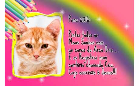 Moldura - Metas 2016