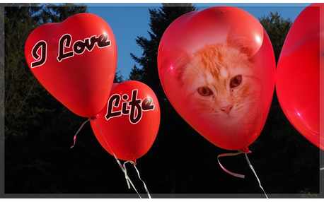 Moldura - Foto Em Baloes I Love Life