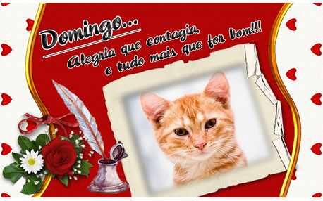 Moldura - Domingo Alegria Que Contagia