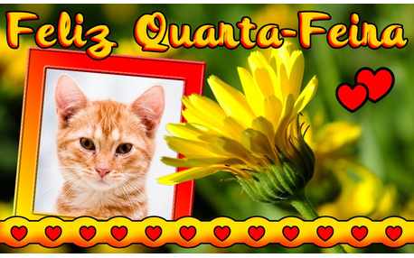 Moldura - Feliz Quarta Feira