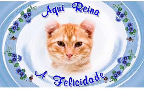 Moldura - Moldura Aqui Reina A Felicidade