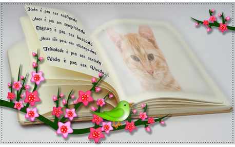 Moldura - Foto No Livro Com Flores