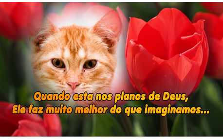 Moldura - Nos Planos De Deus