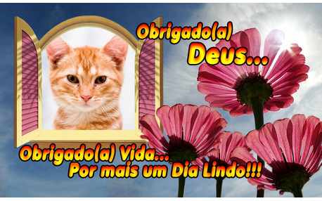 Moldura - Obrigado Vida Obrigado Deus