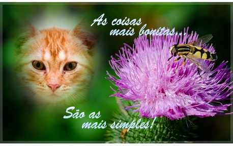 Moldura - Coisas Simples Sao Lindas