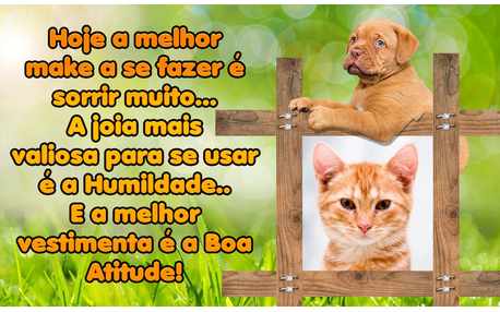 Moldura - Dica Para Um Bom Dia