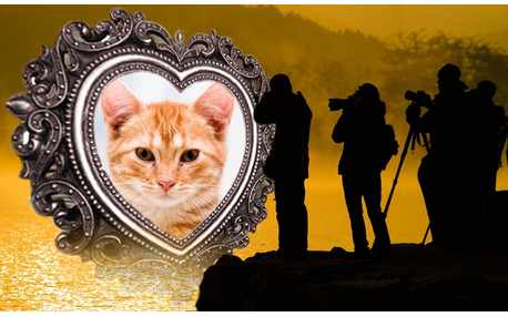 Moldura - Foto Espetacular Sendo Fotografada 