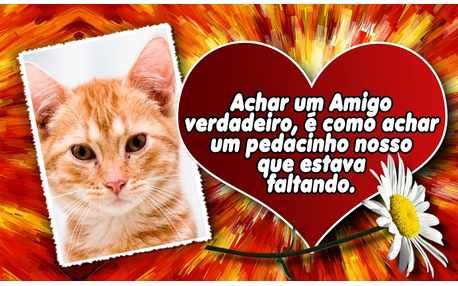 Moldura Amigo Verdadeiro. Adicione uma foto e faça a sua!
