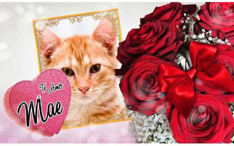 Moldura - Te Amo Mae