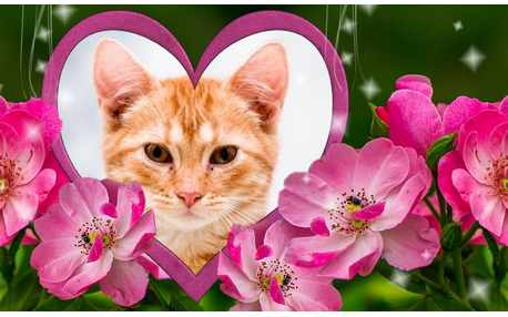 Moldura - Rosinhas Cor De Rosa