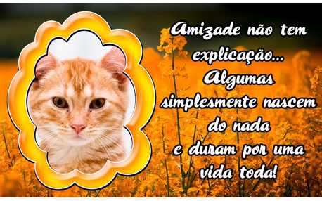 Moldura - Amizade Por Uma Vida Toda