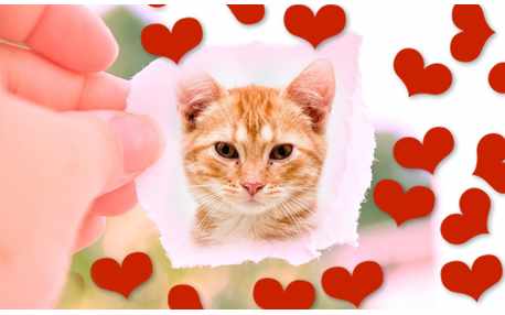 Moldura - Foto No Papel Com Coracoes