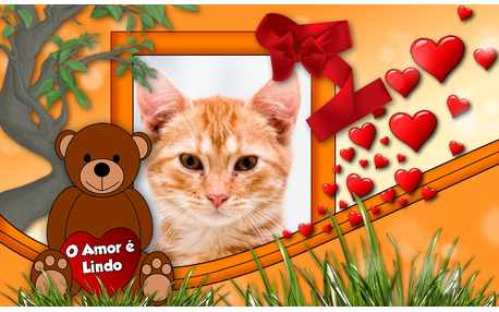 Moldura - O Amor E Lindo