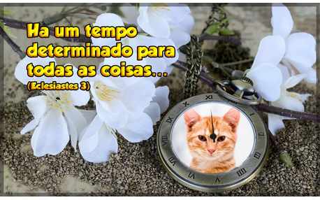 Moldura - Foto no Relógio Com Frase Biblica