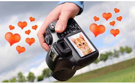 Moldura - Foto No Visor Da Camera