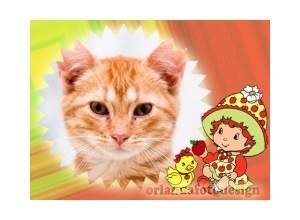 Moldura - Moranguinho