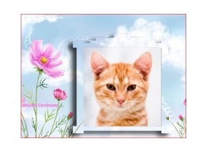 Moldura - Flor Lilas