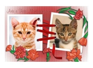 Moldura para duas Fotos - Flores Amarradas