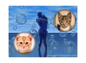 Moldura para duas Fotos - Bolhas