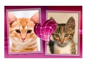 Moldura para duas Fotos - Coracao Pink