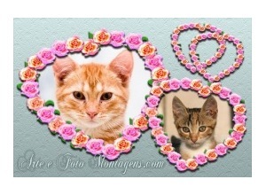 Moldura para duas Fotos - Coracoes Floridos