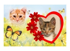 Moldura para duas Fotos - Borboletas