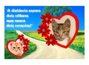 Moldura para duas Fotos - Dois Coracoes