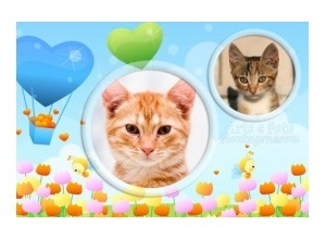 Moldura para duas Fotos - Baloes Primavera