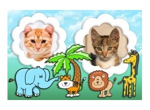 Moldura para duas Fotos - Safari