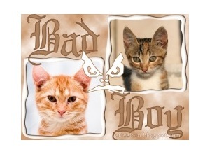 Moldura para duas Fotos - Bad Boy