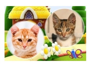 Moldura para duas Fotos - Jardim