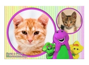 Moldura para duas Fotos - Barney