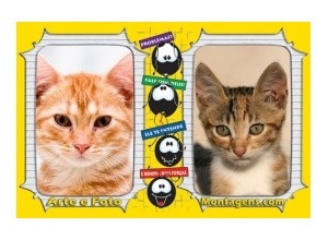 Moldura para duas Fotos - Smilinguido