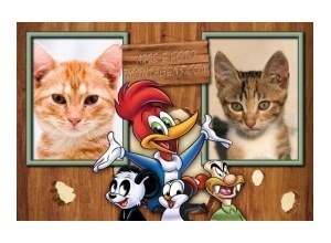 Moldura para duas Fotos - Turma Do Pica Pau