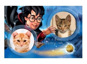 Moldura para duas Fotos - Harry Potter Nimbus